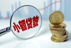 成都上门哪里可以小额贷款-成都上门哪里有民间借贷-成都上门民间短期私借借款