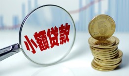 成都上门哪里可以小额贷款-成都上门哪里有民间借贷-成都上门民间短期私借借款